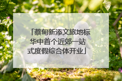 蔡甸新添文旅地标 华中首个近郊一站式度假综合体开业