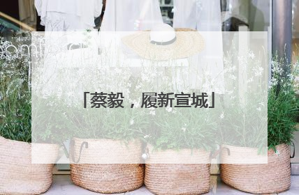蔡毅，履新宣城