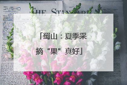 蜀山：夏季采摘“果”真好