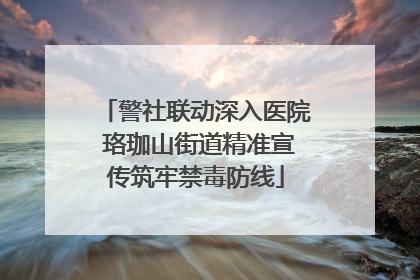 警社联动深入医院 珞珈山街道精准宣传筑牢禁毒防线