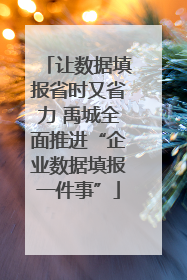 让数据填报省时又省力 禹城全面推进“企业数据填报一件事”