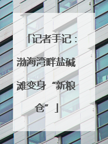 记者手记：渤海湾畔盐碱滩变身“新粮仓”