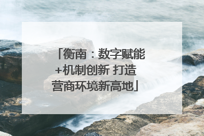 衡南：数字赋能+机制创新 打造营商环境新高地