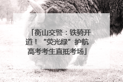 衡山交警：铁骑开道！“荧光绿”护航高考考生直抵考场