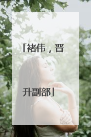 褚伟，晋升副部