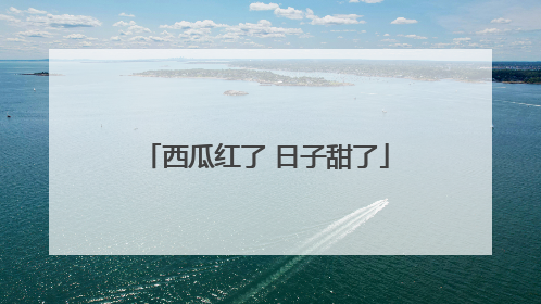西瓜红了 日子甜了