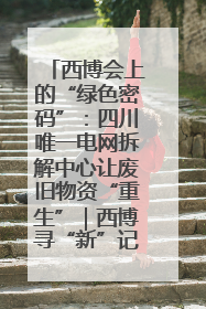 西博会上的“绿色密码”：四川唯一电网拆解中心让废旧物资“重生”｜西博寻“新”记