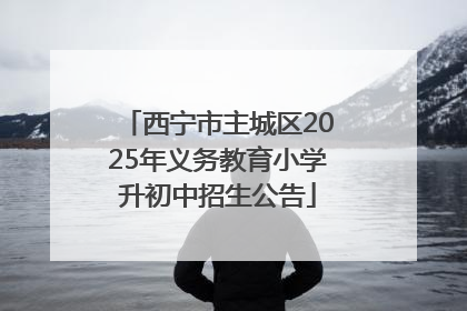 西宁市主城区2025年义务教育小学升初中招生公告