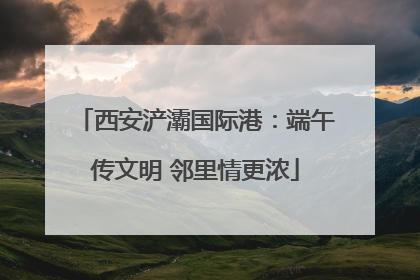 西安浐灞国际港：端午传文明 邻里情更浓