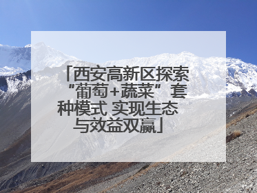 西安高新区探索“葡萄+蔬菜”套种模式 实现生态与效益双赢