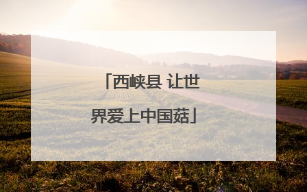 西峡县 让世界爱上中国菇