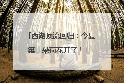 西湖顶流回归：今夏第一朵荷花开了！