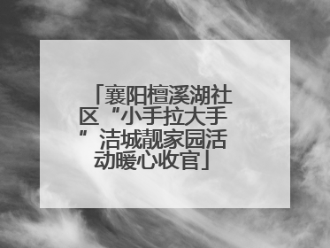 襄阳檀溪湖社区“小手拉大手”洁城靓家园活动暖心收官