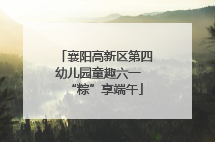 襄阳高新区第四幼儿园童趣六一 “粽”享端午