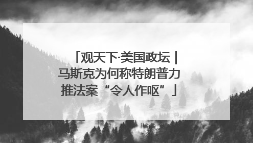 观天下·美国政坛｜马斯克为何称特朗普力推法案“令人作呕”