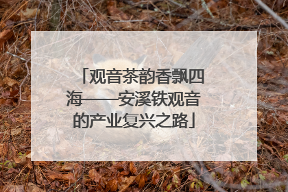 观音茶韵香飘四海——安溪铁观音的产业复兴之路