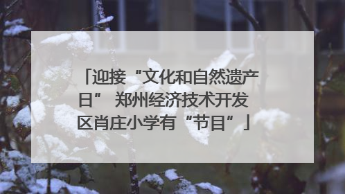 迎接“文化和自然遗产日” 郑州经济技术开发区肖庄小学有“节目”