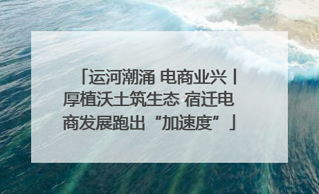运河潮涌 电商业兴丨厚植沃土筑生态 宿迁电商发展跑出“加速度”