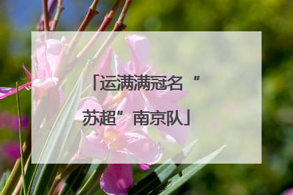 运满满冠名“苏超”南京队