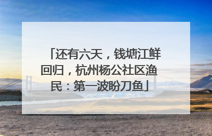 还有六天，钱塘江鲜回归，杭州杨公社区渔民：第一波盼刀鱼