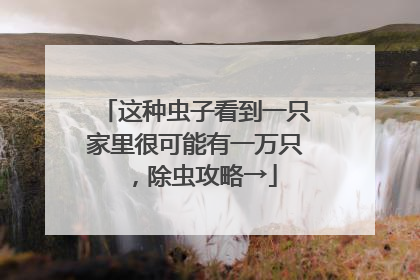 这种虫子看到一只家里很可能有一万只，除虫攻略→