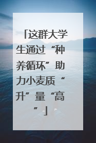 这群大学生通过“种养循环”助力小麦质“升”量“高”