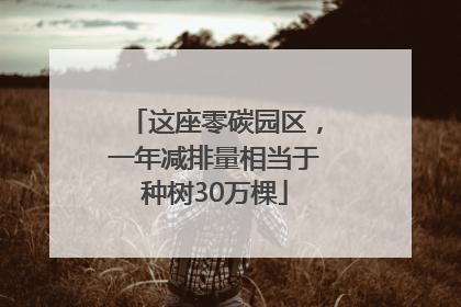 这座零碳园区，一年减排量相当于种树30万棵