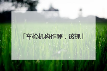 车检机构作弊，该抓