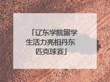 辽东学院留学生活力亮相丹东匹克球赛