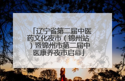 辽宁省第二届中医药文化夜市（锦州站）暨锦州市第二届中医康养夜市启幕