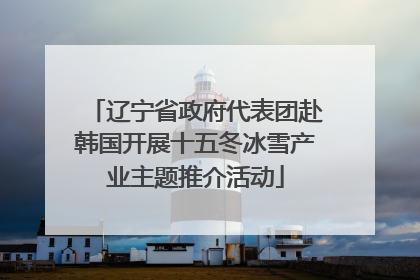 辽宁省政府代表团赴韩国开展十五冬冰雪产业主题推介活动