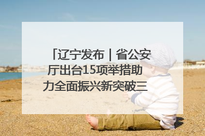 辽宁发布｜省公安厅出台15项举措助力全面振兴新突破三年行动决胜之战