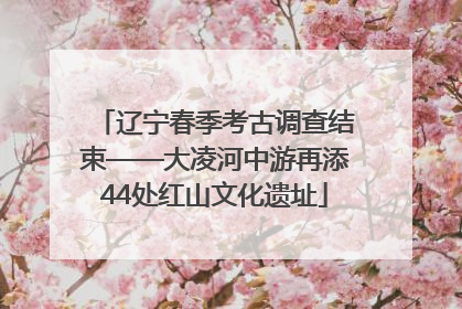 辽宁春季考古调查结束——大凌河中游再添44处红山文化遗址