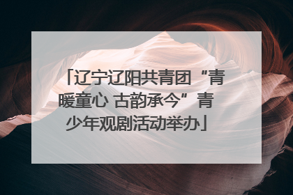 辽宁辽阳共青团“青暖童心 古韵承今”青少年观剧活动举办