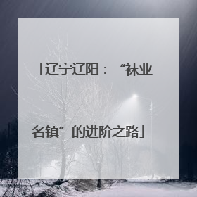 辽宁辽阳：“袜业名镇”的进阶之路