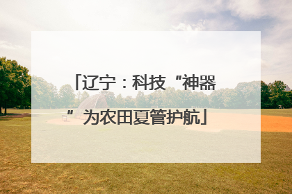 辽宁：科技“神器”为农田夏管护航