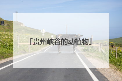 贵州峡谷的动植物