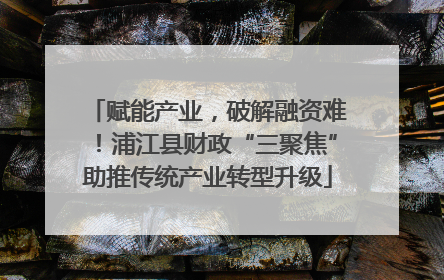 赋能产业，破解融资难！浦江县财政“三聚焦”助推传统产业转型升级