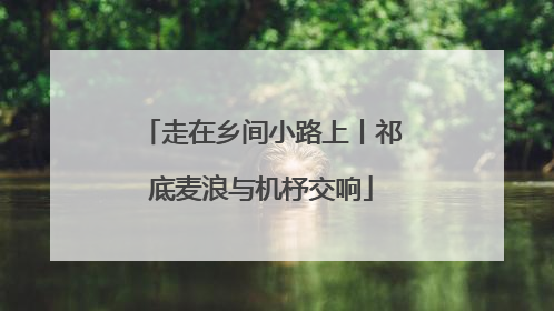 走在乡间小路上丨祁底麦浪与机杼交响