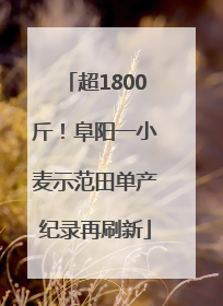 超1800斤！阜阳一小麦示范田单产纪录再刷新