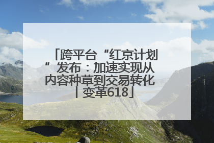 跨平台“红京计划”发布：加速实现从内容种草到交易转化丨变革618