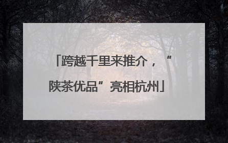 跨越千里来推介，“陕茶优品”亮相杭州
