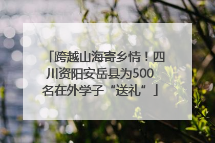 跨越山海寄乡情！四川资阳安岳县为500名在外学子“送礼”