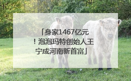 身家1467亿元！泡泡玛特创始人王宁成河南新首富