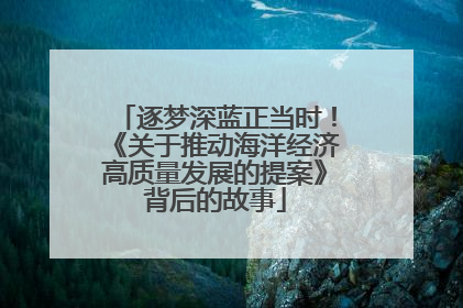 逐梦深蓝正当时！《关于推动海洋经济高质量发展的提案》背后的故事