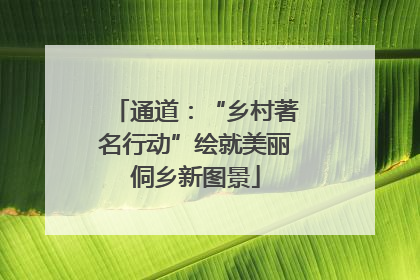 通道：“乡村著名行动”绘就美丽侗乡新图景
