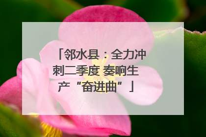 邻水县：全力冲刺二季度 奏响生产“奋进曲”