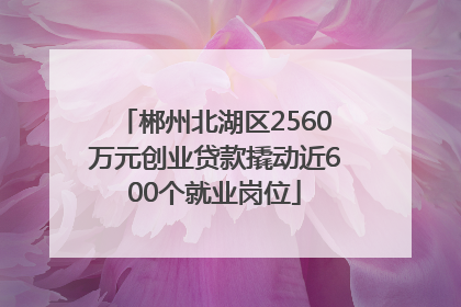 郴州北湖区2560万元创业贷款撬动近600个就业岗位