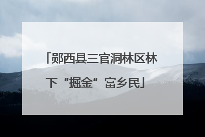 郧西县三官洞林区林下“掘金”富乡民