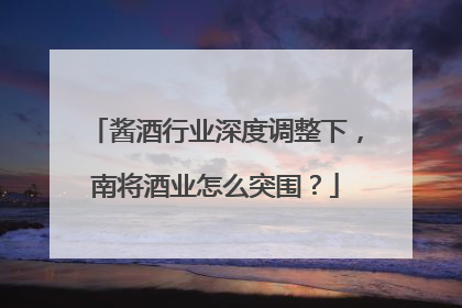 酱酒行业深度调整下，南将酒业怎么突围？